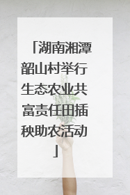 湖南湘潭韶山村举行生态农业共富责任田插秧助农活动