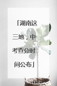 湖南这三地，中考查分时间公布