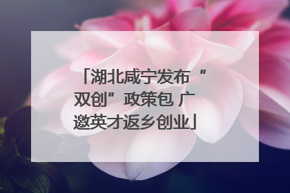 湖北咸宁发布“双创”政策包 广邀英才返乡创业