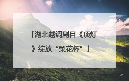 湖北越调剧目《顶灯》绽放“梨花杯”