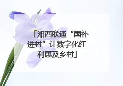 湘西联通“国补进村”让数字化红利惠及乡村