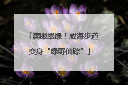 满眼翠绿！威海步道变身“绿野仙踪”