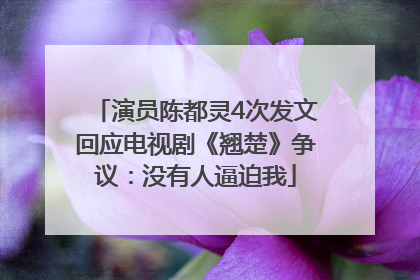 演员陈都灵4次发文回应电视剧《翘楚》争议：没有人逼迫我