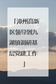 漳州高新区领导到九湖镇调研基层党建工作