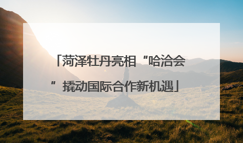 菏泽牡丹亮相“哈洽会”撬动国际合作新机遇