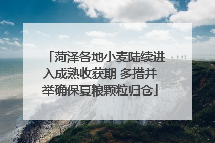 菏泽各地小麦陆续进入成熟收获期 多措并举确保夏粮颗粒归仓