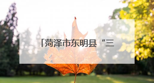 菏泽市东明县“三维联动”构建特色青少年护航体系