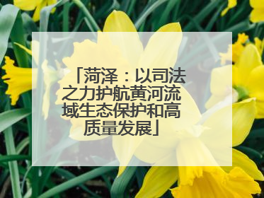 菏泽：以司法之力护航黄河流域生态保护和高质量发展