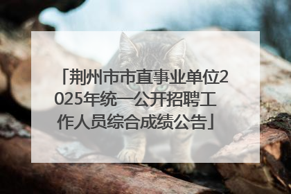 荆州市市直事业单位2025年统一公开招聘工作人员综合成绩公告