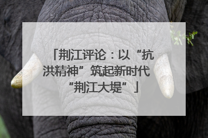 荆江评论：以“抗洪精神”筑起新时代“荆江大堤”