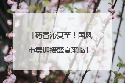 药香沁夏至！国风市集迎接盛夏来临