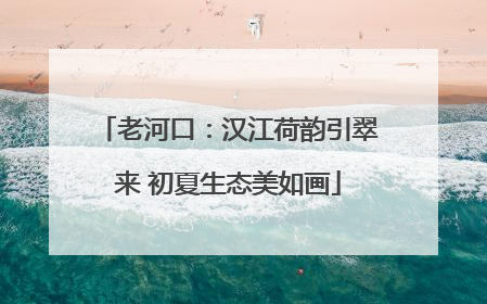 老河口：汉江荷韵引翠来 初夏生态美如画