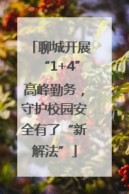 聊城开展“1+4”高峰勤务，守护校园安全有了“新解法”