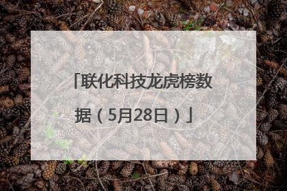 联化科技龙虎榜数据（5月28日）