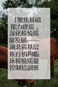 聚焦基础能力建设，深化检验质量发展——湖北省基层医疗机构临床检验质量控制培训班（孝感站）成功举办