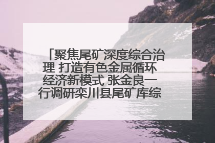 聚焦尾矿深度综合治理 打造有色金属循环经济新模式 张金良一行调研栾川县尾矿库综合治理工作