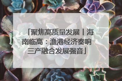 聚焦高质量发展丨海南临高：渔港经济奏响三产融合发展强音
