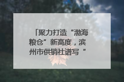 聚力打造“渤海粮仓”新高度，滨州市供销社谱写“三夏”丰收乐章