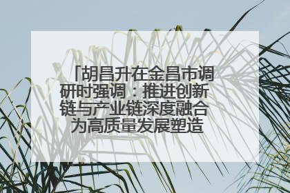 胡昌升在金昌市调研时强调：推进创新链与产业链深度融合 为高质量发展塑造新动能新优势