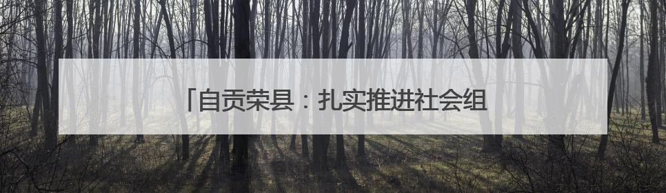 自贡荣县：扎实推进社会组织领域突出问题专项整治