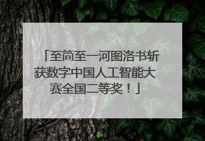 至简至一河图洛书斩获数字中国人工智能大赛全国二等奖！