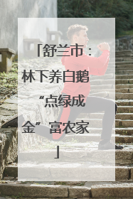 舒兰市：林下养白鹅 “点绿成金”富农家