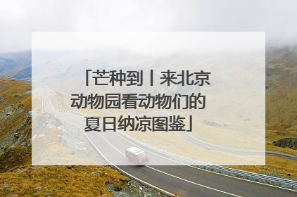 芒种到丨来北京动物园看动物们的夏日纳凉图鉴
