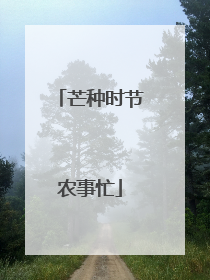 芒种时节农事忙