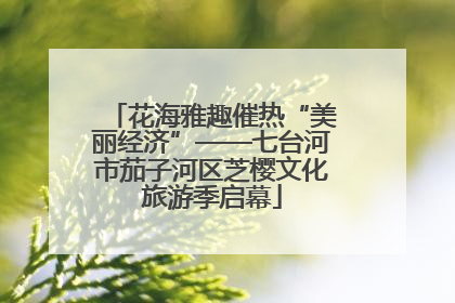 花海雅趣催热“美丽经济”——七台河市茄子河区芝樱文化旅游季启幕