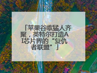 苹果谷歌猛人齐聚，英特尔打造AI芯片界的“复仇者联盟”