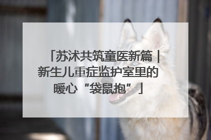 苏沭共筑童医新篇｜新生儿重症监护室里的暖心“袋鼠抱”