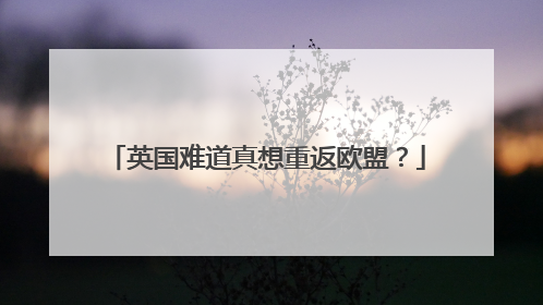 英国难道真想重返欧盟？