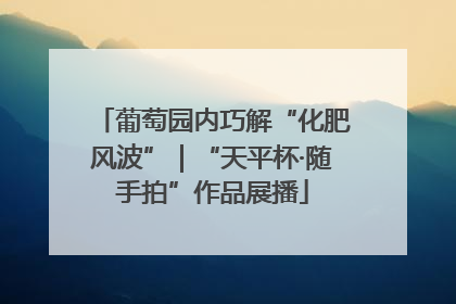 葡萄园内巧解“化肥风波”｜“天平杯·随手拍”作品展播