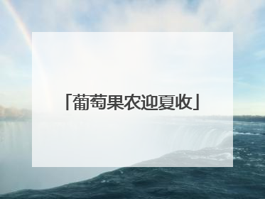 葡萄果农迎夏收