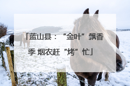 蓝山县：“金叶”飘香季 烟农赶“烤”忙