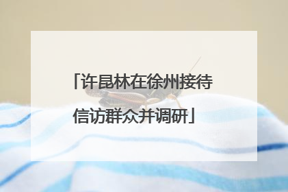 许昆林在徐州接待信访群众并调研