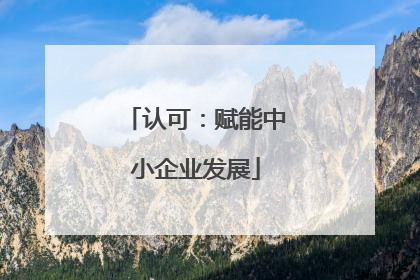 认可：赋能中小企业发展