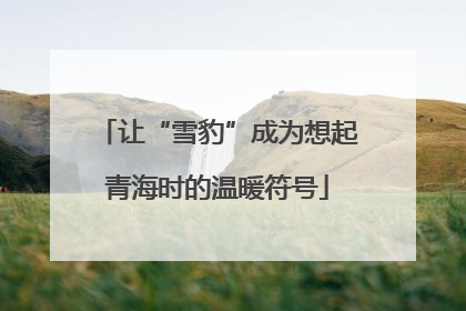 让“雪豹”成为想起青海时的温暖符号