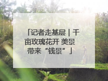 记者走基层｜千亩玫瑰花开 美景带来“钱景”