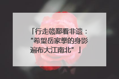 行走赣鄱看非遗：“希望岳家拳的身影遍布大江南北”