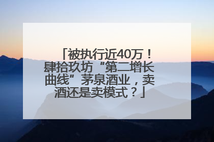 被执行近40万！肆拾玖坊“第二增长曲线”茅泉酒业，卖酒还是卖模式？