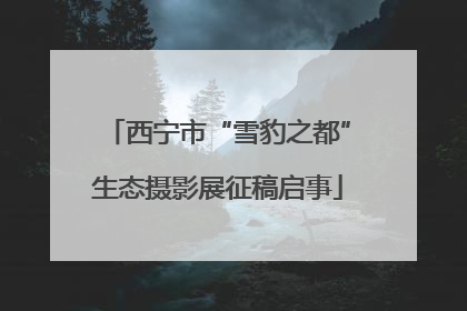 西宁市“雪豹之都”生态摄影展征稿启事
