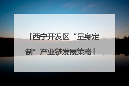 西宁开发区“量身定制”产业链发展策略