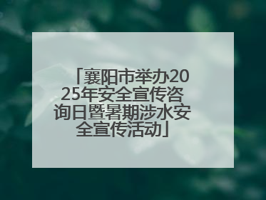 襄阳市举办2025年安全宣传咨询日暨暑期涉水安全宣传活动