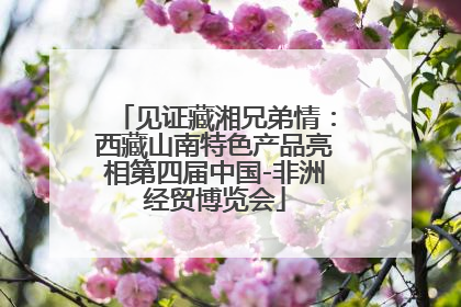 见证藏湘兄弟情：西藏山南特色产品亮相第四届中国-非洲经贸博览会