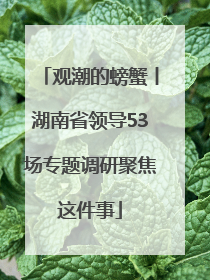 观潮的螃蟹丨湖南省领导53场专题调研聚焦这件事