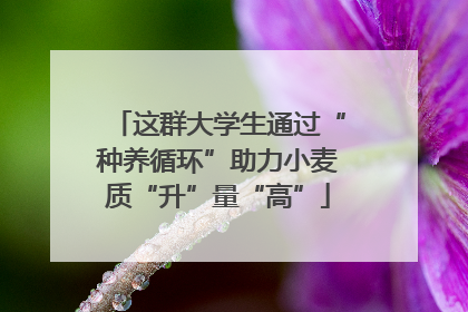 这群大学生通过“种养循环”助力小麦质“升”量“高”