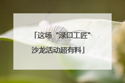 这场“渌口工匠”沙龙活动超有料