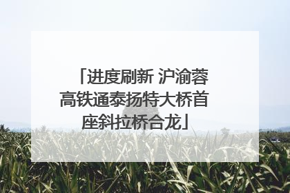 进度刷新 沪渝蓉高铁通泰扬特大桥首座斜拉桥合龙
