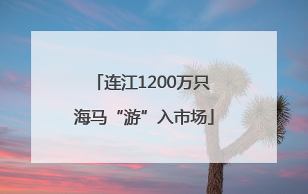 连江1200万只海马“游”入市场